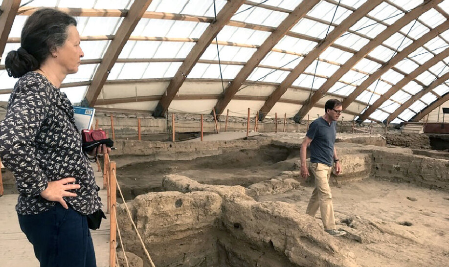 Professor Ian Hodder shows Antoinette Rast-Eicher around the excavation site.