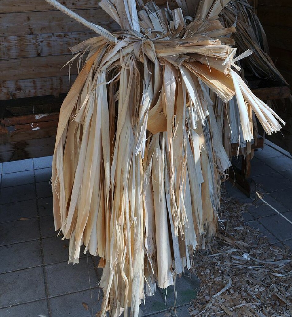 This is what bast fibre looks like.