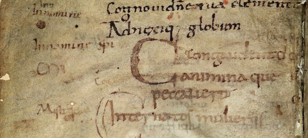 Medieval scribes wrote about religion, medicine and magic in the margins