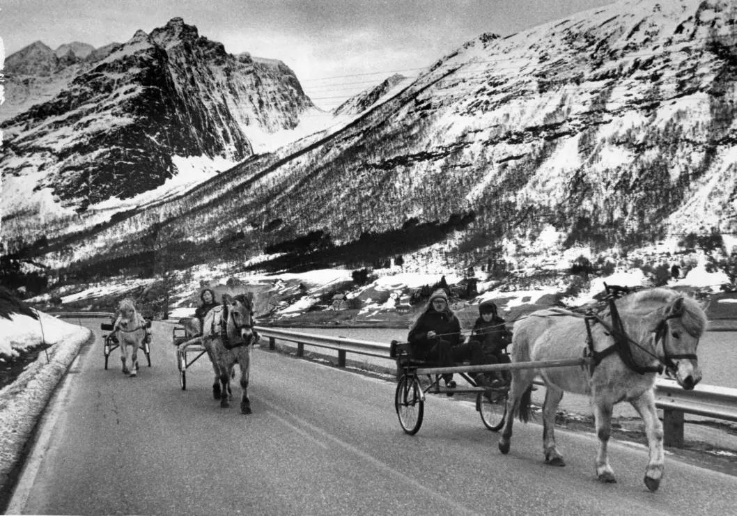 The oil crisis in 1973 led to more people using horse-drawn carriages in Sykkulven. The crisis arose when Arab oil-producing countries cut oil exports to the United States and its allies in response to the United States sending large supplies of weapons to Israel during the Yom Kippur War.