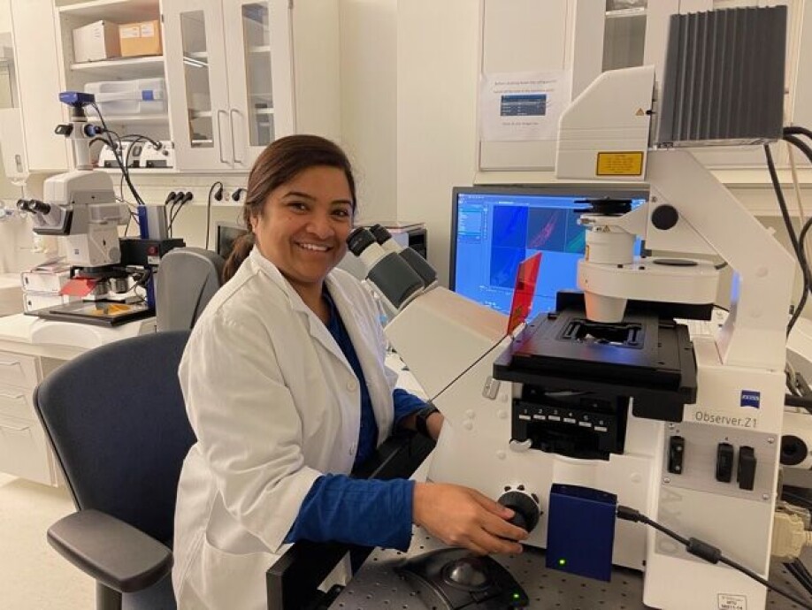 Researcher Tanima Sengupta and her colleagues found out that neurons are damaged when the neurons’ DNA is not repaired well enough.