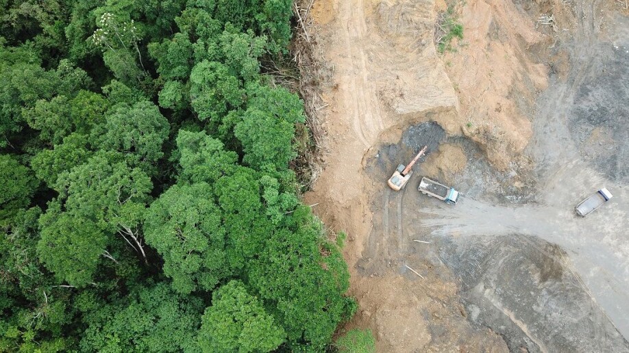The biggest threat to biodiversity is not climate change, but land use change. This photo from Borneo in Malaysia, where the rainforest is cut down to make room for palm oil plantations.