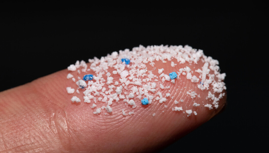 The jungle of information about microplastic can be difficult to navigate. From a researcher’s perspective, we see significant challenges in maintaining the quality of knowledge that is shared, and how it is used further. The jungle of information about microplastic can be difficult to navigate. From a researcher’s perspective, we see significant challenges in maintaining the quality of knowledge that is shared, and how it is used further.