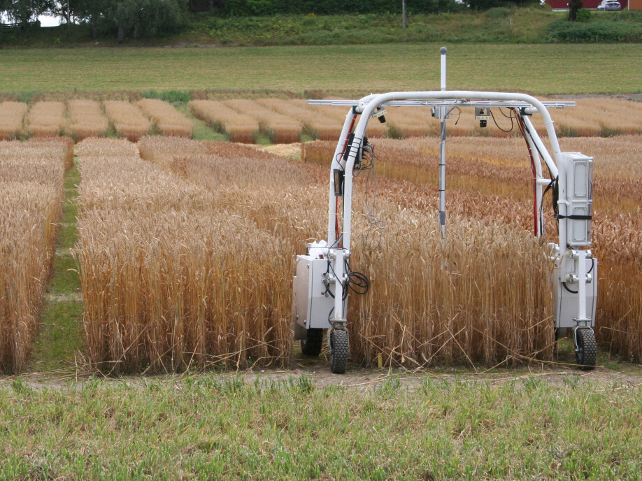 To get good close-ups, the researchers use the Thorvald robot, who scrolls through the field and takes pictures continuously.
