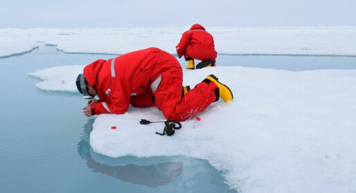 Small pieces and large pictures in Arctic marine science