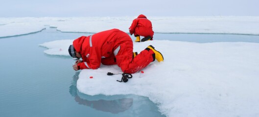 Small pieces and large pictures in Arctic marine science