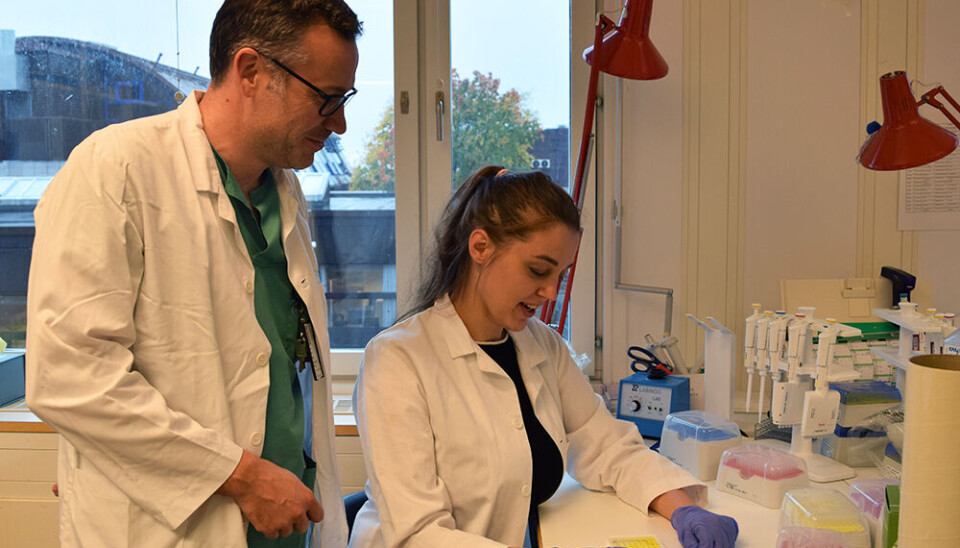 Pischke looks at tests together with research fellow Viktoriia Chaban.