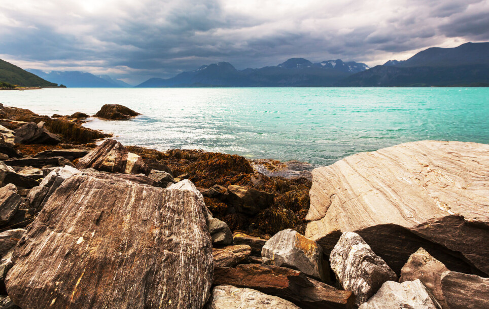 NTNU researchers have developed a new technique they can use to search for useful microbes in places as diverse as the chilly rugged landscapes of northern Norway to the hot climate of southern Spain.