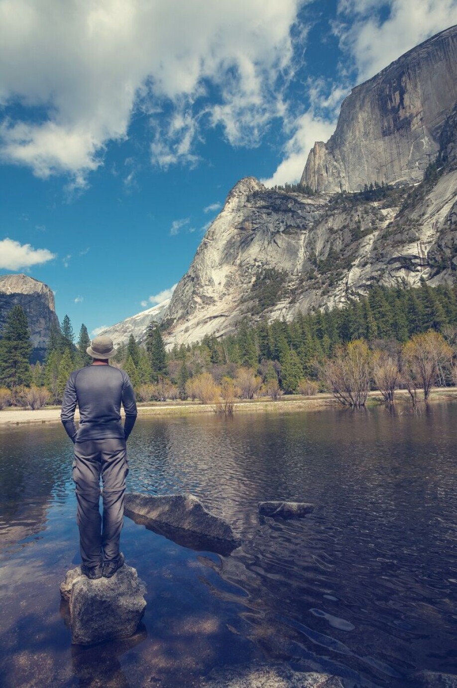 Yosemite in the United States. Would you cut down the trees here for the sake of the climate?