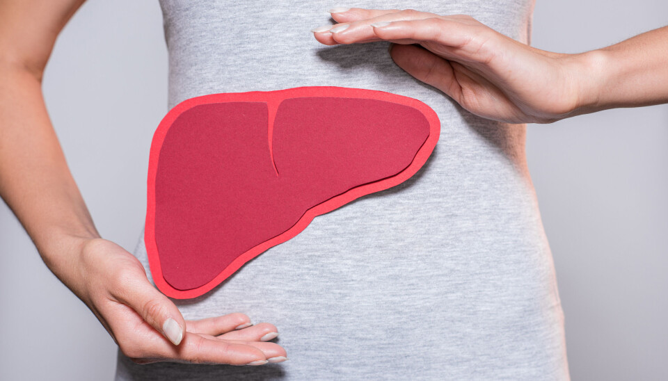 One of the reasons why there is so little focus on the liver is that there is a lot of stigma associated with liver disease, Tom Hemming Karlsen believes.