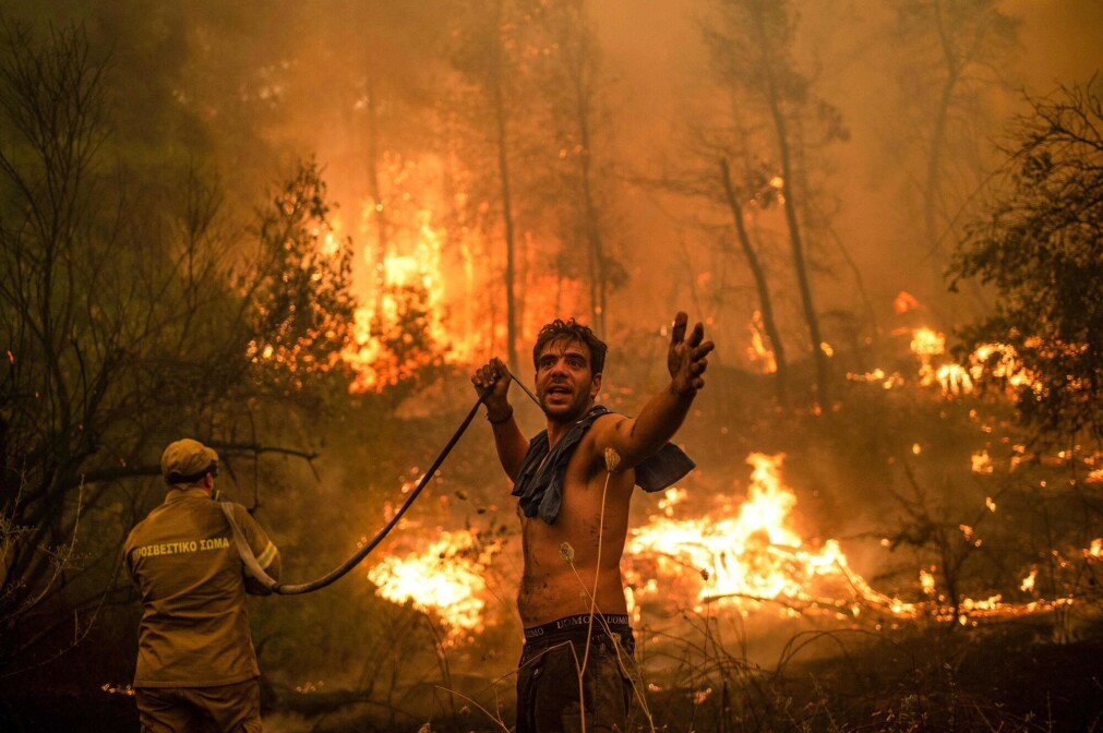 Three people died, more than 20 were injured and 125,000 hectares of forest were burned during the forest fires in Greece in 2021. Three people died, more than 20 were injured and 125,000 hectares of forest were burned during the forest fires in Greece in 2021.