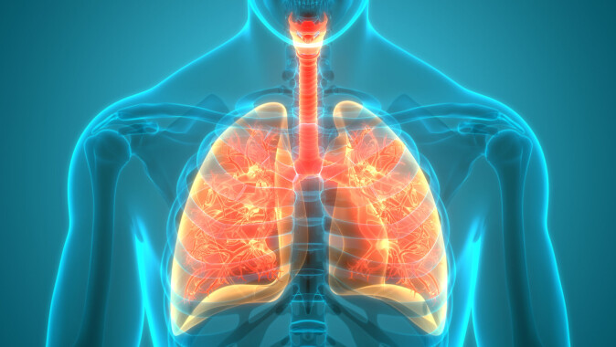 Our lungs are working better and better. Our lungs are working better and better.