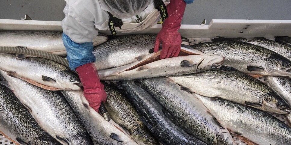 Income disparities increased as the EU opened up to the east. Many of the immigrants from the eastern regions settled in rural communities and took low-paying jobs.