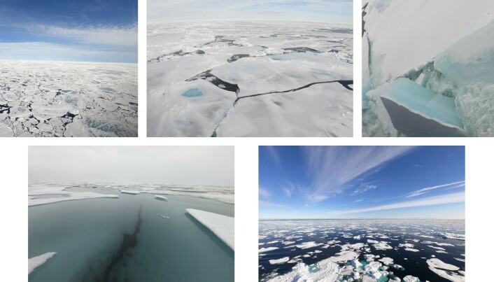 Many different types of sea ice Many different types of sea ice