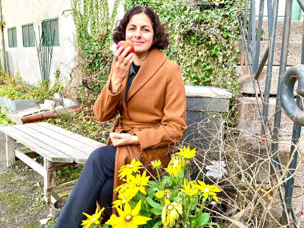 A lot of people lose their sense of smell or experience smell disorders after having Covid-19. Specialist Preet Bano Singh at UiO’s Faculty of Dentistry helps them retrain their sense of smell by sniffing apples, flowers and spices. But the queue for services is long. A lot of people lose their sense of smell or experience smell disorders after having Covid-19. Specialist Preet Bano Singh at UiO’s Faculty of Dentistry helps them retrain their sense of smell by sniffing apples, flowers and spices. But the queue for services is long.
