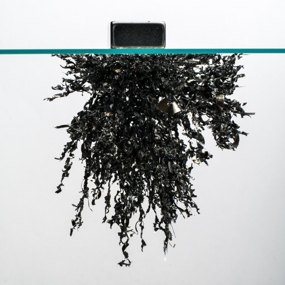 Today, physicists often look at even more complex transitions. For example, magnetism. Then thing can get really complicated. The photo shows a magnet attracting iron shavings.