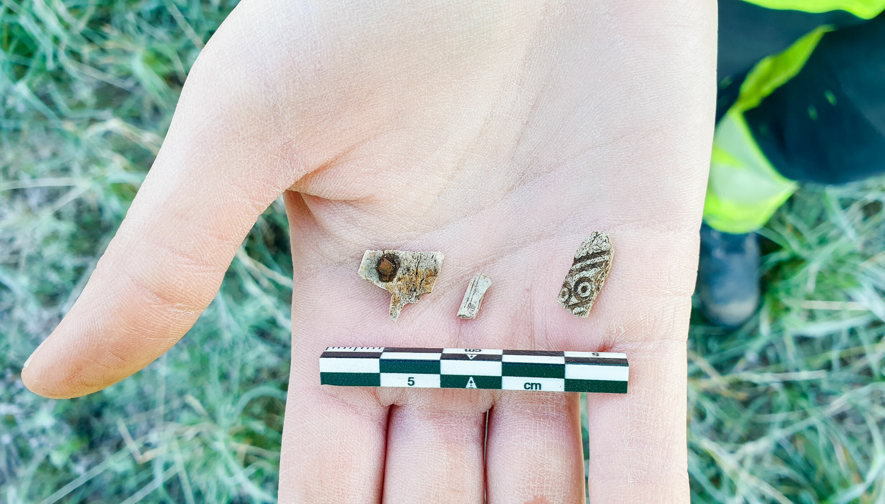 Pieces of a comb found near the burnt human bones.