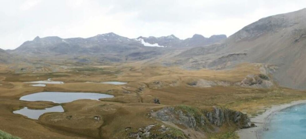 Pollen found in lake sediments on the island South Georgia are measures of the westerly winds in the Southern Ocean far back in time. Pollen found in lake sediments on the island South Georgia are measures of the westerly winds in the Southern Ocean far back in time.