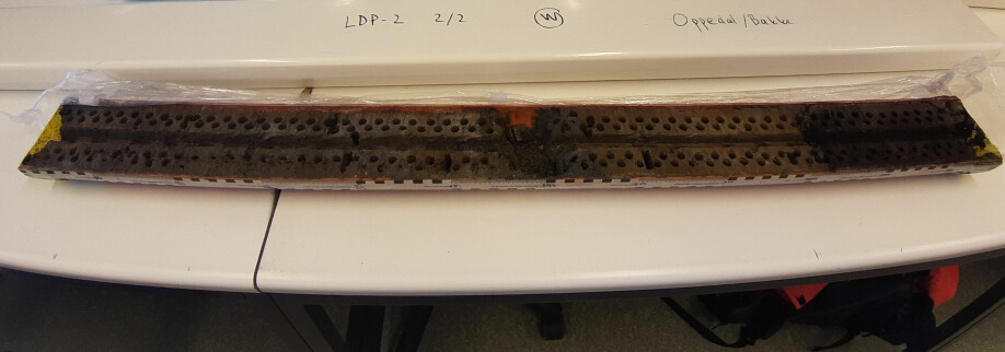 The pollen grains were found in this sediment core from the bottom of a lake in South Georgia. The small holes show where the scientists have taken samples.