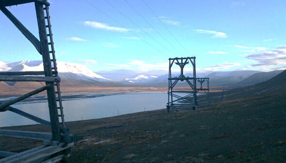 Cable way timber props (taubanebukker) in Adventdalen, surroundings of Longyearbyen, Svalbard.