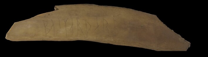 This large bone may be the rib of a cow or a horse. Further examinations are needed in order to determine the origins. This large bone may be the rib of a cow or a horse. Further examinations are needed in order to determine the origins.
