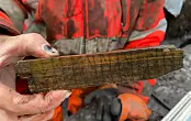 A bone and a stick inscribed with Norse runic text found in Oslo