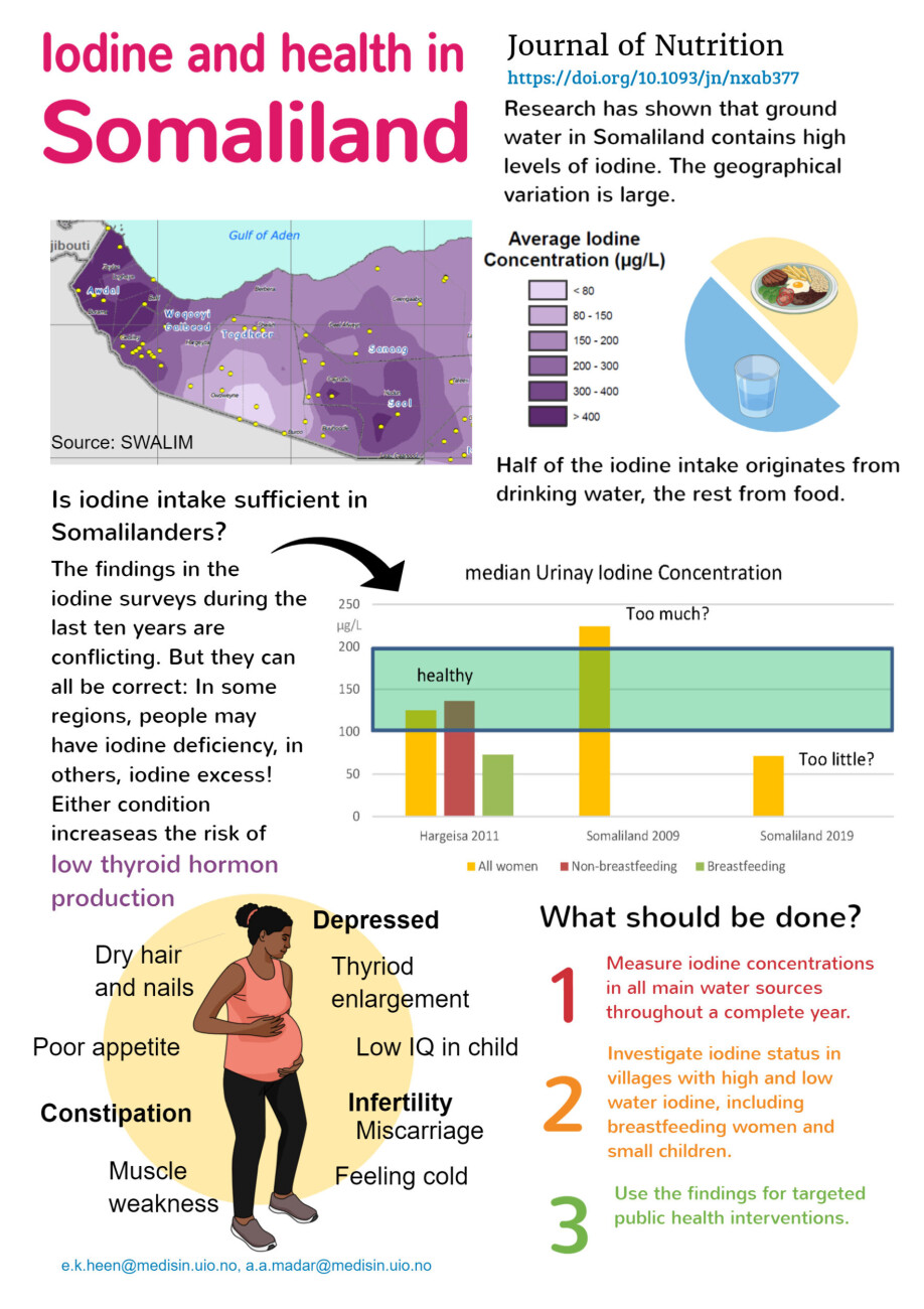 Infographic: Developed by the research project to illustrate their main findings.