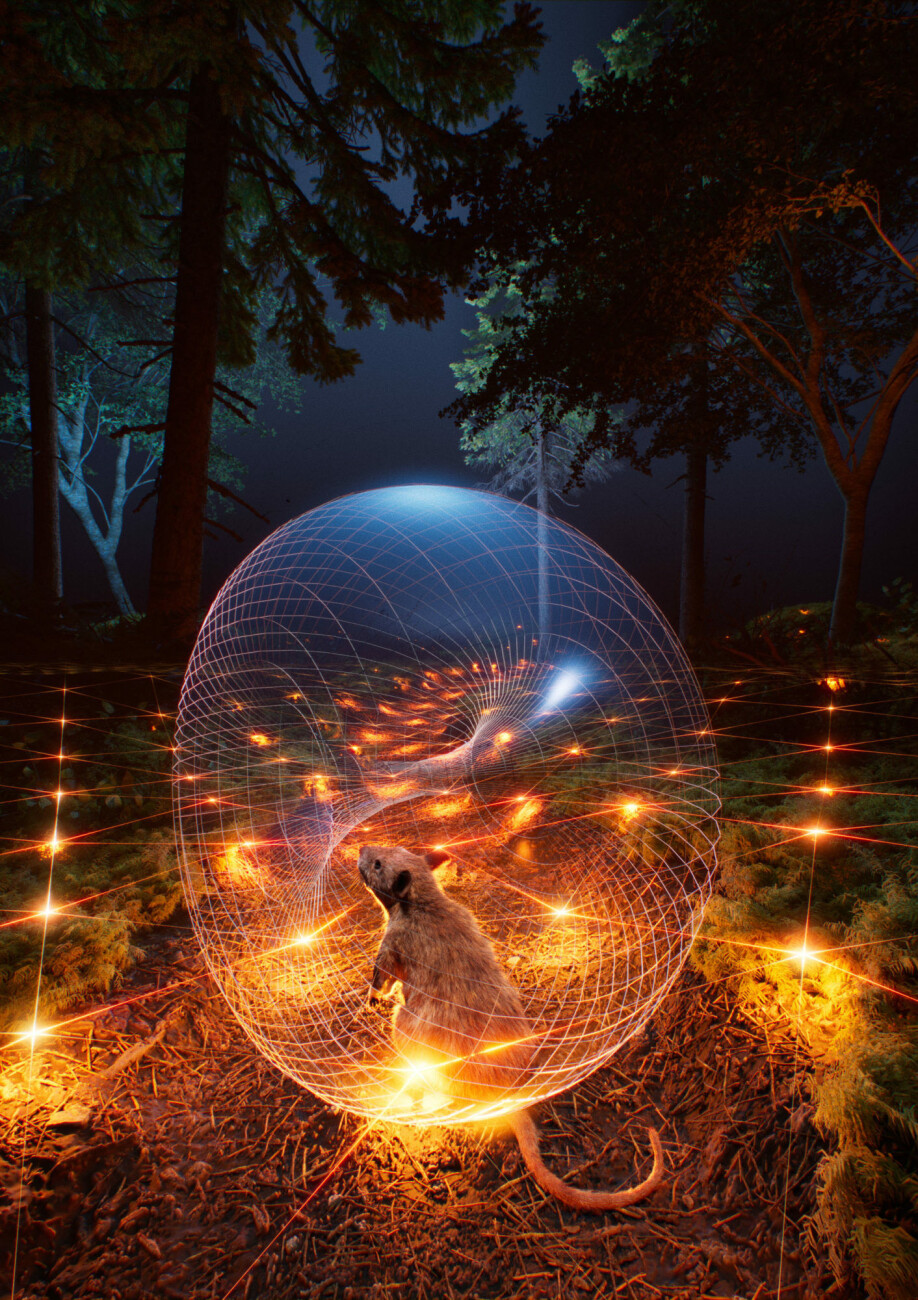 Whenever the rat is actively exploring and navigating the world, its sensory system has to coordinate and align the internal grid cell pattern, the torus map, with the external environment.