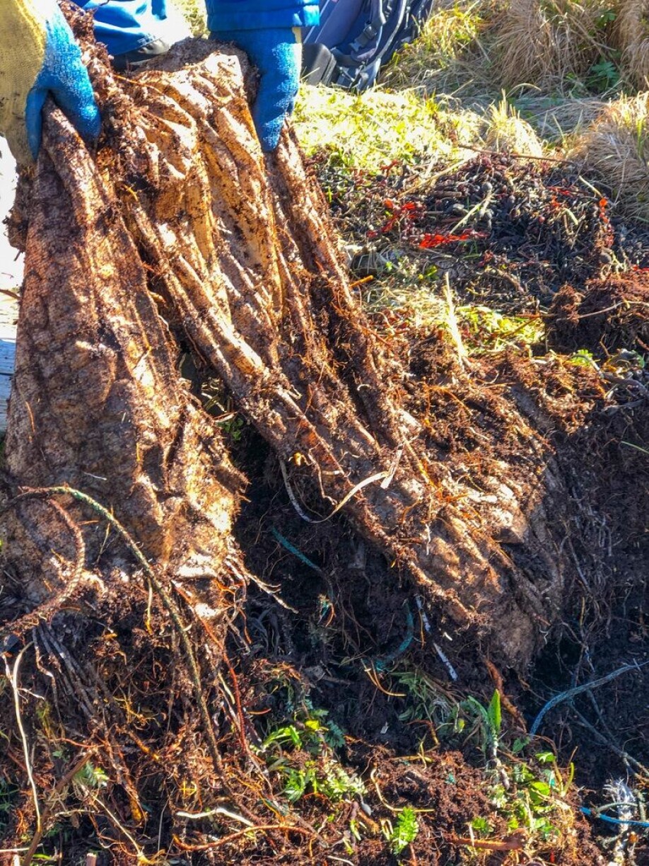 Plastic infiltrates the soil layer and gets harder to get rid of the longer it is in the ground.