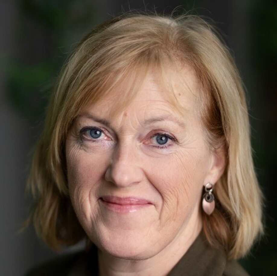 Hilde Ervik, a senior lecturer at NTNU’s Department of Teacher Education.