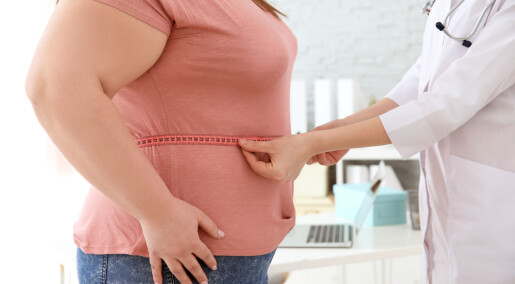 One in five people who die of cancer are obese. Now researchers can tell us more about why. One in five people who die of cancer are obese. Now researchers can tell us more about why.