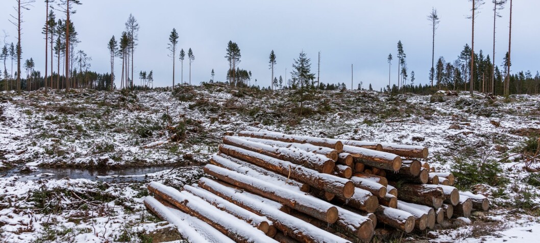European study found abrupt increase in logging in the Nordic countries. Norwegian researchers beg to differ