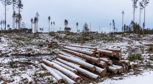 European study found abrupt increase in logging in the Nordic countries. Norwegian researchers beg to differ