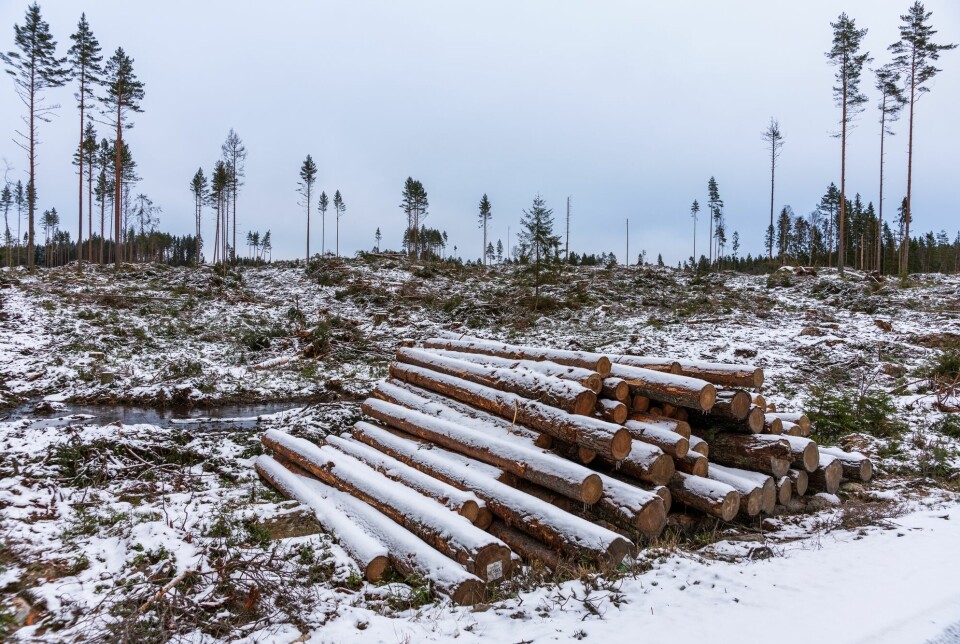 Has there really been a recent increase in logging in the Nordic countries?