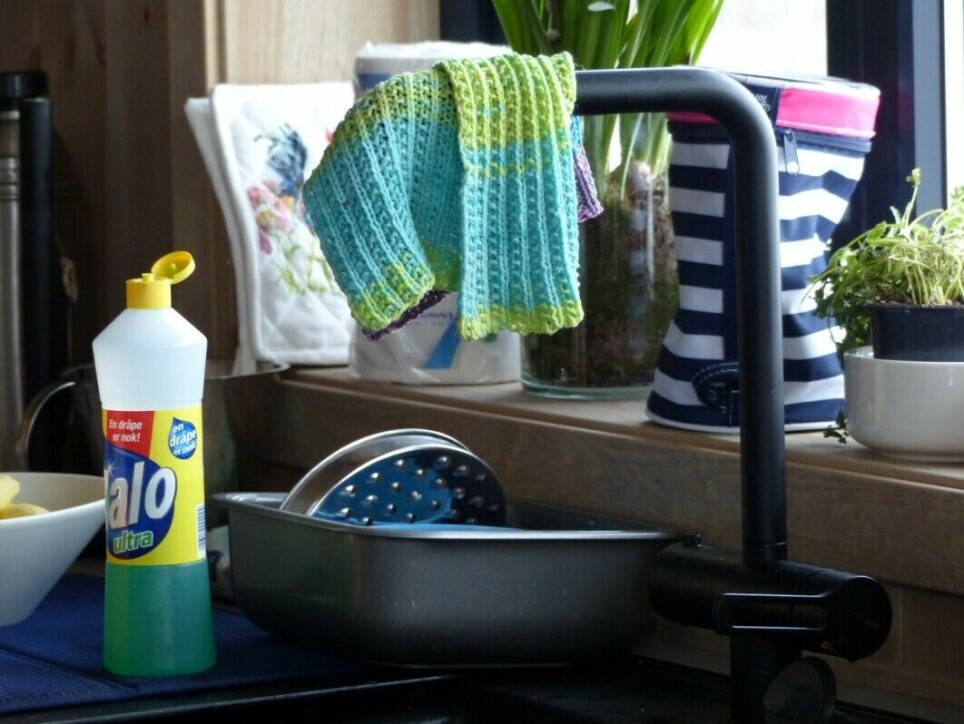Researchers visited 87 households in six countries, Norway, England, France, Portugal, Hungary and Romania, to investigate different kitchen hygiene practices.