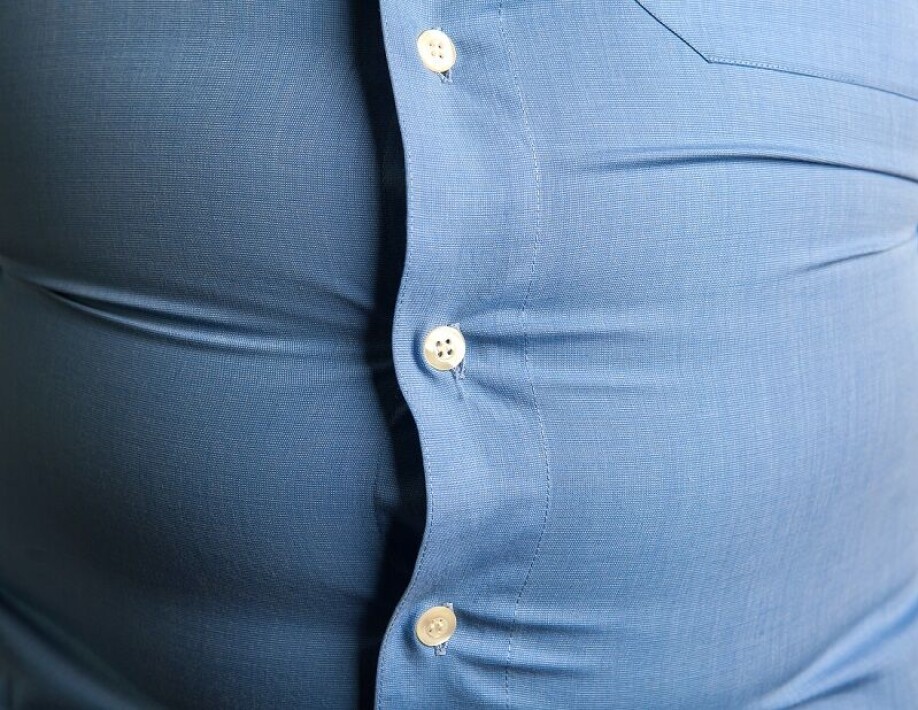 We can’t blame all our weight problems on the chemicals in plastics. But they may contribute to the problem.