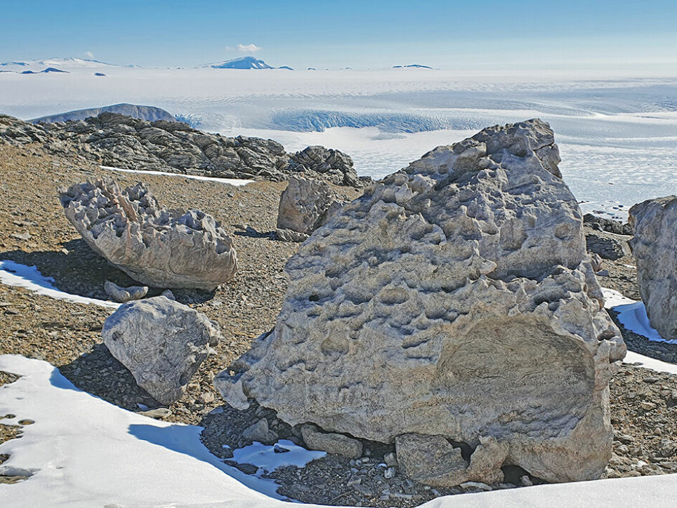 The 'sculpture park' is located on a slope just behind the Norwegian research station Troll.