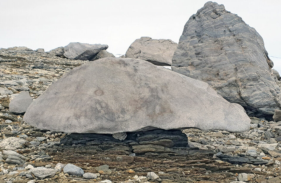 A mushroom shaped sculpture, resting on a stack of slate.