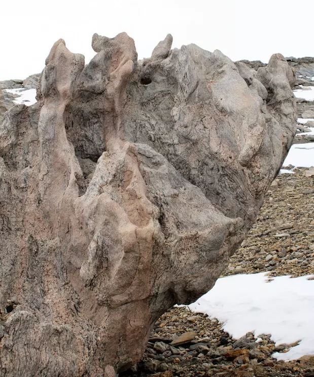 An important geological rock or a piece of modern art?