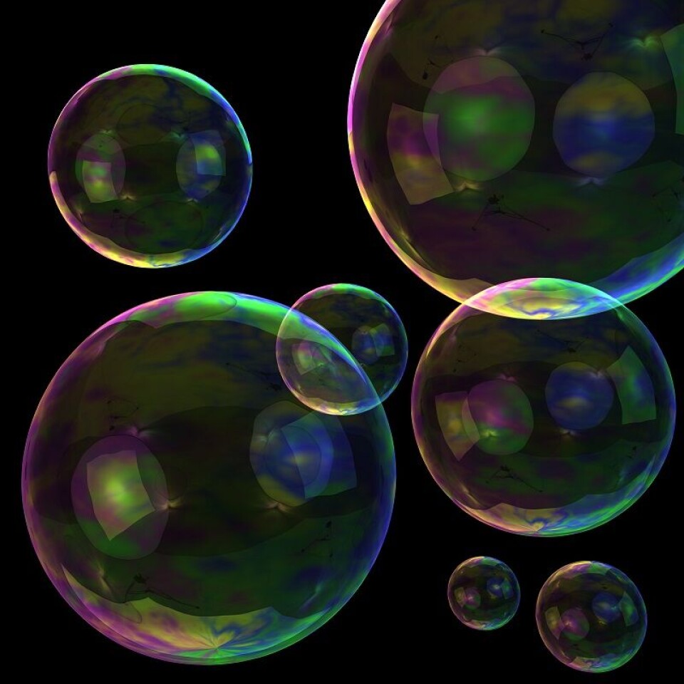 Birds, fish, insects, some plants and berries, soap bubbles, rainbows and more have colours that result from the partial reflection of light waves.