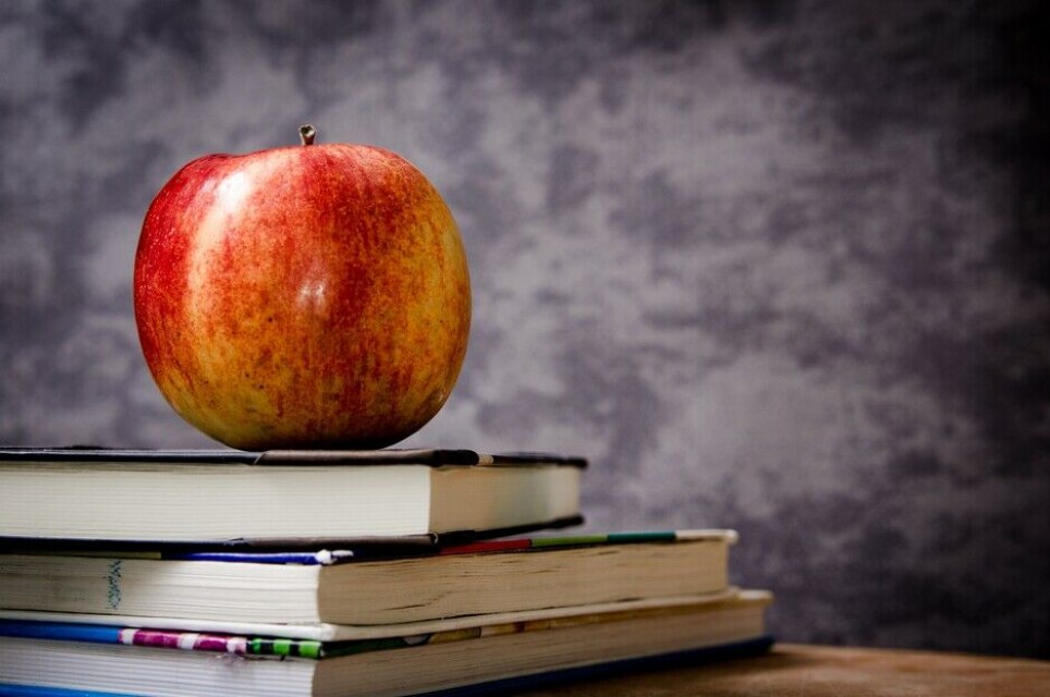 The school fruit scheme was a government initiative at all of Norway's lower secondary and combined primary and lower secondary schools.