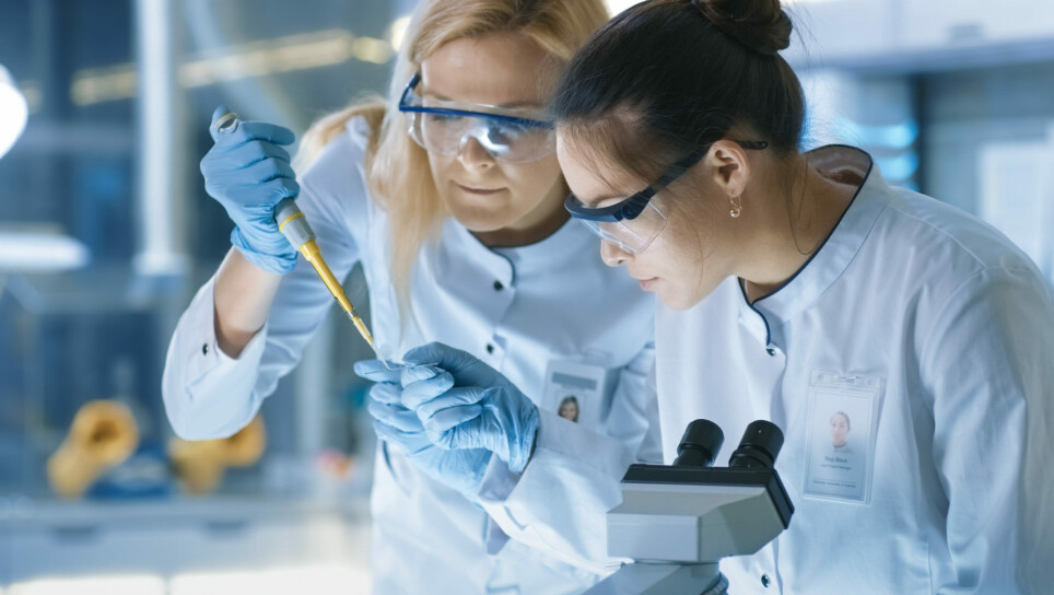 Could nanopillar-covered substrates help improve the way we screen medicines for different properties and uses?