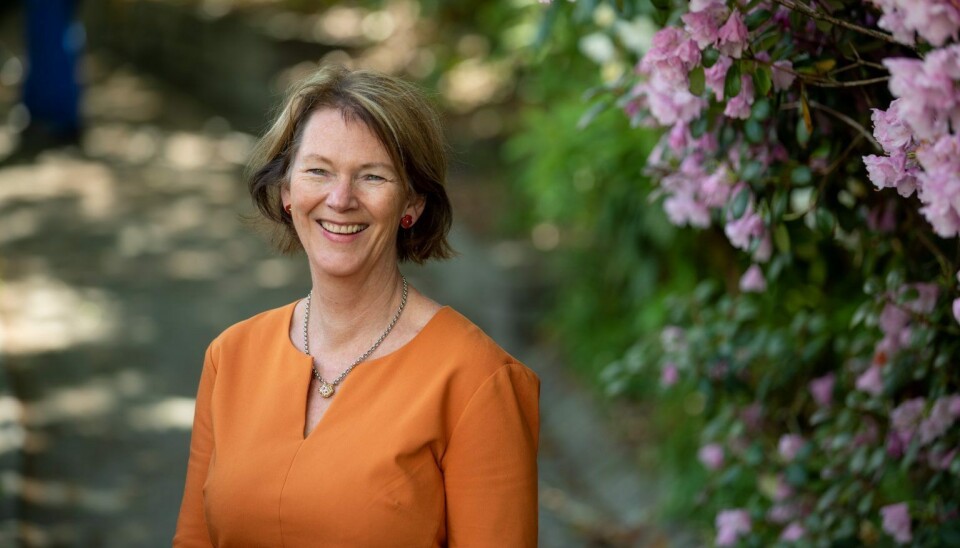 Lise Øvreås.