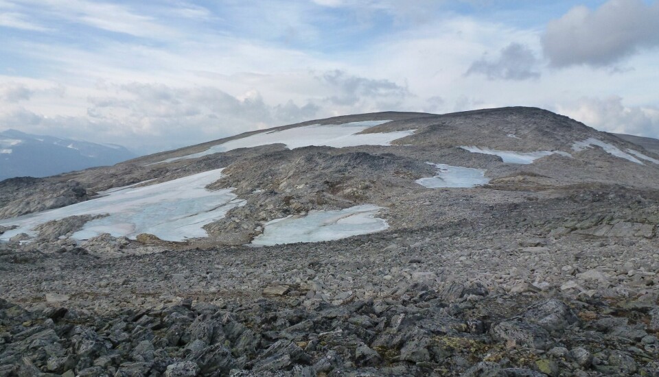 Sandgrovskardet has six individual ice patches, five of them have archaeological finds. The ice patches seen in this photo amass to a total of about 170 000 square metres. The highest peaks were most likely not covered with snow in the past either.
