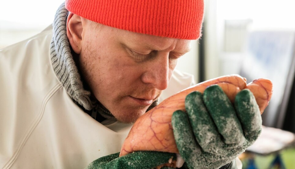 A man holding a fish roe sac, the main ingredient of Bottarga Boreale.