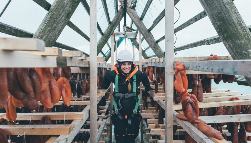 Roe sacs hung to dry under cover.