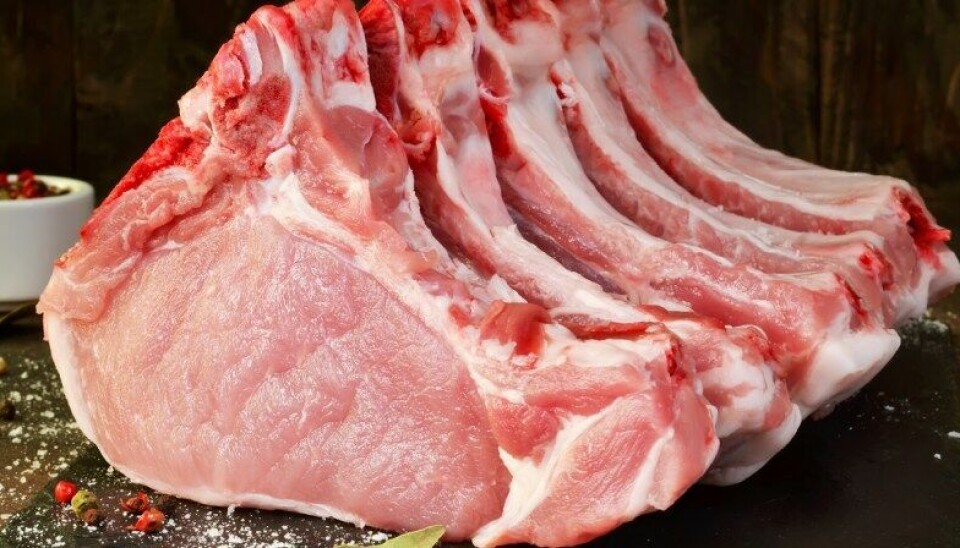 Researchers at NMBU are working to develop a butcher robot for pork which they hope will contribute to a more sustainable meat industry.