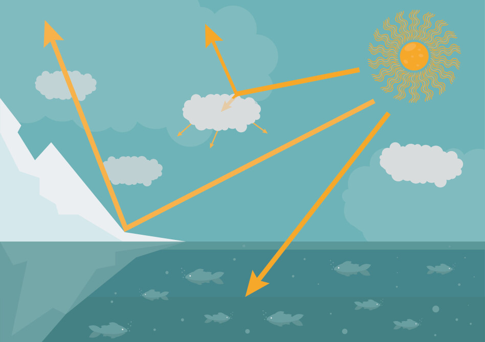 Snow and ice albedo feedback in polar areas: Snow and ice cover reflect sunlight back into the space, which has a cooling effect. If there is less reflective snow and ice, more of that solar radiation remains on Earth, warming its climate system.