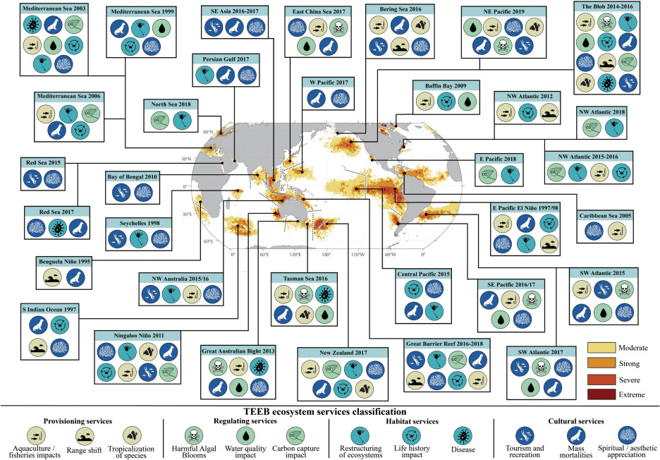 Socioeconomic consequences of major marine heatwave episodes since 1995.
