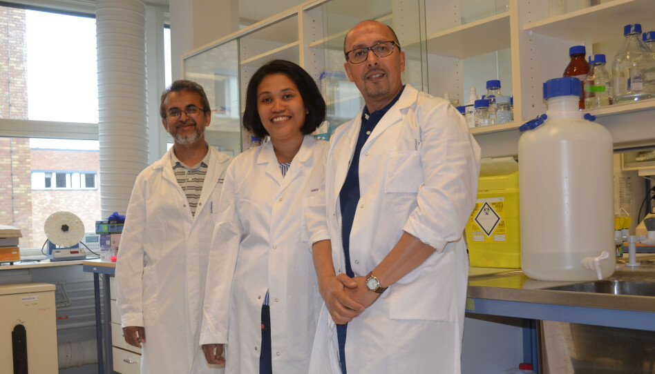 Professor Farrukh Abbas (left) and Marivi Moen (middle) of the University of Oslo, El Hassan Hamdani of OsloMet (right).